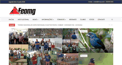 Desktop Screenshot of feomg.com.br